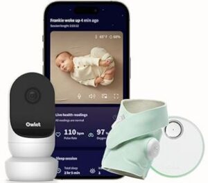Owlet Dream Duo 2