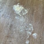 WhatsApp Image 2026-03-29 at 9.15.38 PM